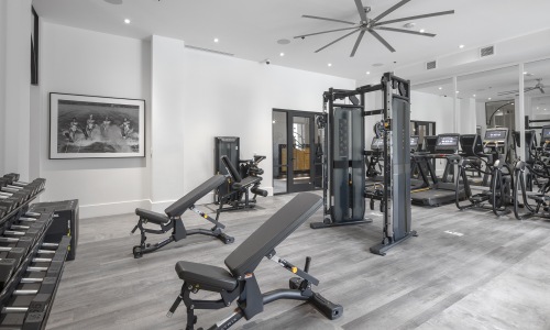 Fitness Fitness